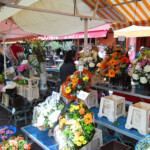 Blomsterhandler på Cours Saleya
